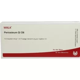 PERIOSTEUM GL D 6 ampolas, 10x1 ml