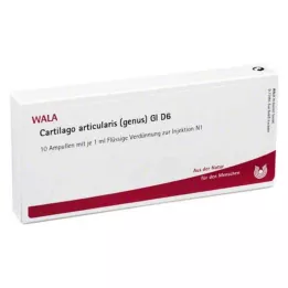 CARTILAGO Articularis genre GL D 6 ampollas, 10X1 ml
