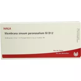 MEMBRANA Sinuum paransalium GL d 12 ampolas, 10x1 ml