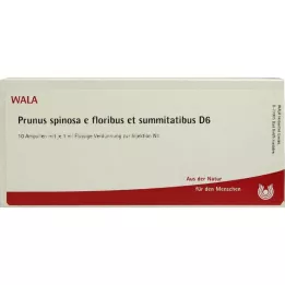 PRUNUS SPINOSA E floribus y summitatibus D 6 Amp., 10X1 ml