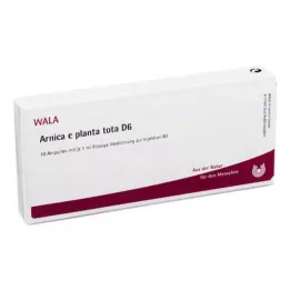 ARNICA E Planta total D 6 ampollas, 10X1 ml