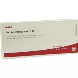 NERVUS ISCHIADICUS GL D 6 ampollas, 10X1 ml