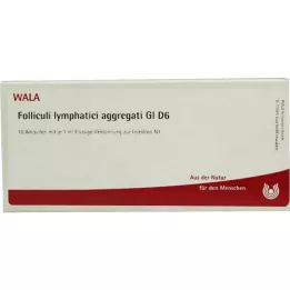 FOLLICULI LYMPHATICI Agregados GL D 6 ampollas, 10X1 ml