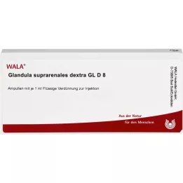 GLANDULA SUPRARENALES dextra GL D 8 ampollas, 10X1ml
