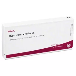 HYPERICUM EX Herba D 6 ampollas, 10X1 ml