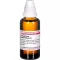 Eupatorium perf 4, 50 ml