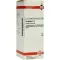 GRAPHITES D 6 Dilución, 50 ml