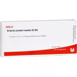 ARTERIA CEREBRI Medio GL D 6 ampollas, 10X1 ml