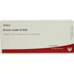 ARTERIA RENALIS GL D 30 ampolas, 10x1 ml