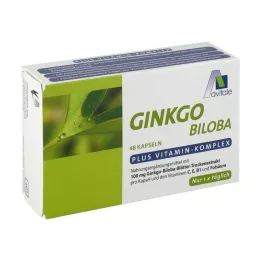 GINKGO Cápsulas de 100 mg + B1 + C + E, 48 uds