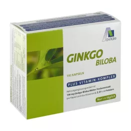 GINKGO Cápsulas de 100 mg + B1 + C + E, 192 uds
