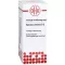 Spiraea ulmar d 2, 20 ml