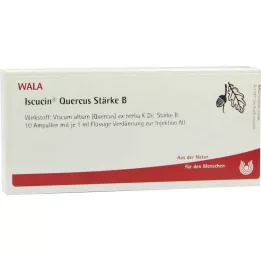 ISCUCIN Ampollas de quercus Strength B, 10X1 ml
