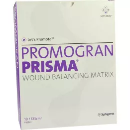 PROMOGRAN Taponamientos Prisma 123 qcm, 10 uds