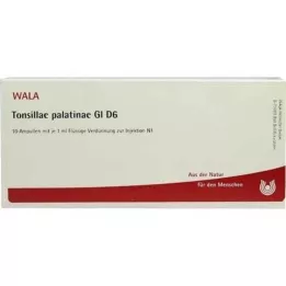 TONSILLAE palatinae GL D 6 ampollas, 10X1 ml