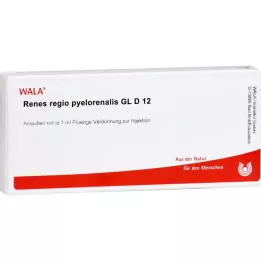RENES REGIO pielorenalis GL d 12 ampolas, 10x1 ml