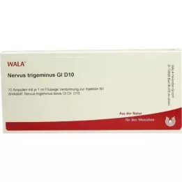 NERVUS TRIGEMINUS GL D 10 ampollas, 10X1 ml