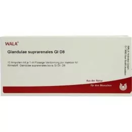 GLANDULAE SUPRARENALES GL D 8 ampollas, 10X1 ml