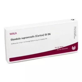 GLANDULA SUPRARENALES corteza GL D 6 ampollas, 10X1 ml