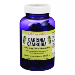 GARCINIA CAMBOGIA 400 mg GPH cápsulas, 120 uds