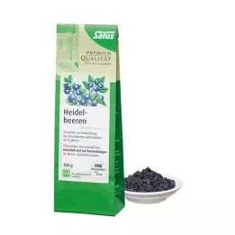 HEIDELBEEREN ARZNEITEE Fructosa Myrtilli Bio Salus, 100 g