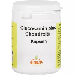 cápsulasGLUCOSAMIN+CHONDROITIN , 120 uds