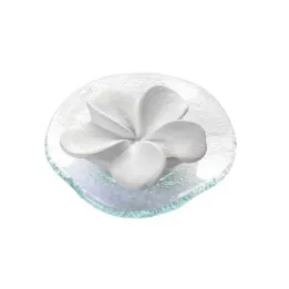 DUFTSTEIN Frangipani Glasteller Transparent, 1 pz