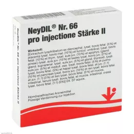 NEYDIL No.66 Pro Inyectione pz.2 Ampoules, 5x2 ml