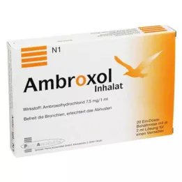 AMBROXOL Solución de inhalación para nebulizador, 20X2 ml