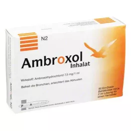 AMBROXOL Solución de inhalación para nebulizador, 50X2 ml
