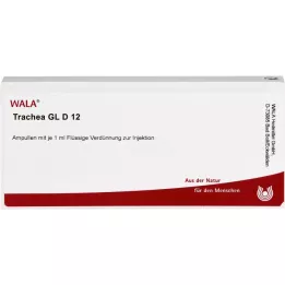 TRACHEA GL D 12 ampollas, 10X1 ml