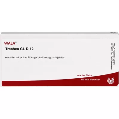 TRACHEA GL D 12 ampollas, 10X1 ml