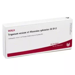 TRIGONUM vesícula y músculo esfinge.GL D 12 Amp., 10X1 ml