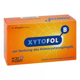 XYTO Cápsulas Fol B, 90 pz
