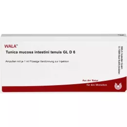 TUNICA mucosa intestinal tenuis GL D 6 ampollas, 10X1 ml