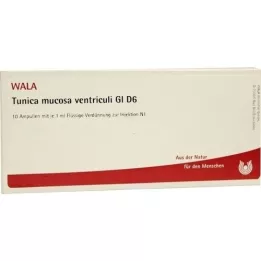 TUNICA mucosa ventriculi GL d 6 ampolas, 10x1 ml