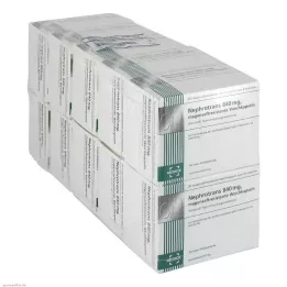 NEPHROTRANS Cápsulas gastrorresistentes de 840 mg, 500 uds