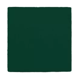 MULLKOMPRESSEN 10x10 cm 12 pliegues verde, 100 uds