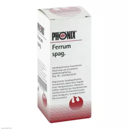 PHÖNIX FERRUM Spag. Mezcla, 100 ml