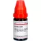 CACTUS LM VI Dilución, 10 ml