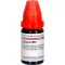 CROCUS LM VI Dilución, 10 ml