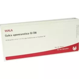 GALEA Aponeurótica GL D 8 Ampoules, 10x1 ml