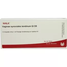 VAGINAE Tendino sinovial GL D 5 ampolas, 10x1 ml