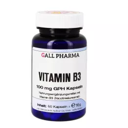 VITAMIN B3 100 mg GPH cápsulas, 60 uds