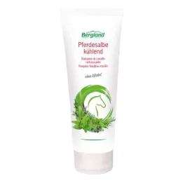 Ungüento de caballo refrescante (100 ml)