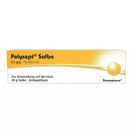 POLYSEPT Ungüento, 20 g