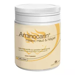 AMINOCARIN Lata de polvo, 400 g