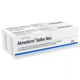 AKNEDERM Ungüento Nuevo, 60 g