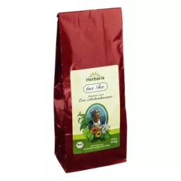 Quemador de ceniza EVA de 6 té, 100 g