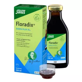 FLORADIX Tónico vegano Hierro más B12, 250 ml